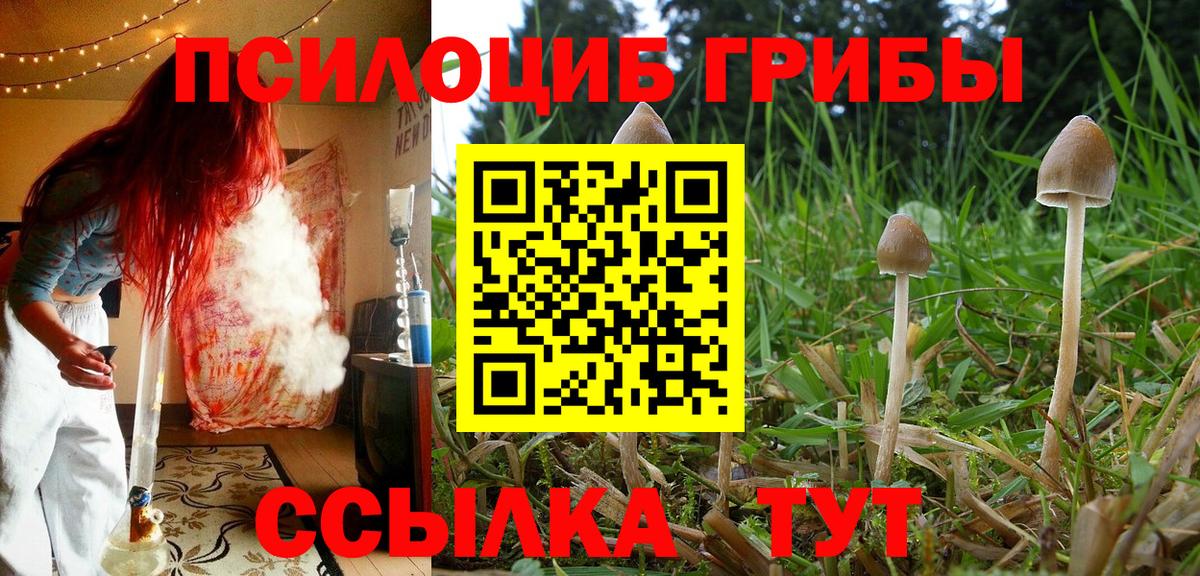 Псилоцибиновые грибы мухоморы Советская Гавань